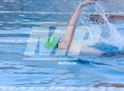 Thumbnail 3 in Weeki Wachee vs Springstead, Central  photogallery.