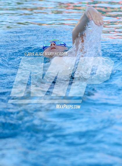 Thumbnail 2 in Weeki Wachee vs Springstead, Central  photogallery.