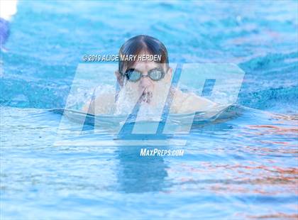 Thumbnail 3 in Weeki Wachee vs Springstead, Central  photogallery.