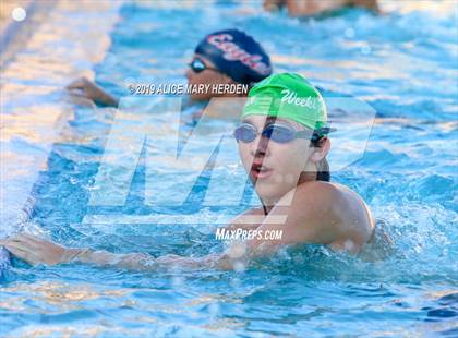 Thumbnail 1 in Weeki Wachee vs Springstead, Central  photogallery.