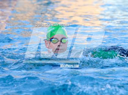 Thumbnail 1 in Weeki Wachee vs Springstead, Central  photogallery.