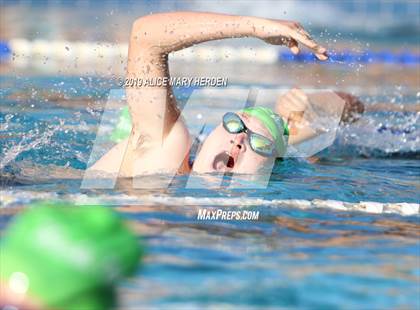 Thumbnail 2 in Weeki Wachee vs Springstead, Central  photogallery.