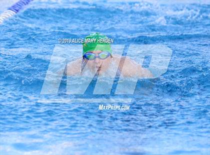 Thumbnail 3 in Weeki Wachee vs Springstead, Central  photogallery.