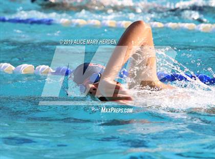 Thumbnail 1 in Weeki Wachee vs Springstead, Central  photogallery.