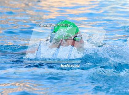 Thumbnail 3 in Weeki Wachee vs Springstead, Central  photogallery.