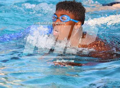 Thumbnail 2 in Weeki Wachee vs Springstead, Central  photogallery.