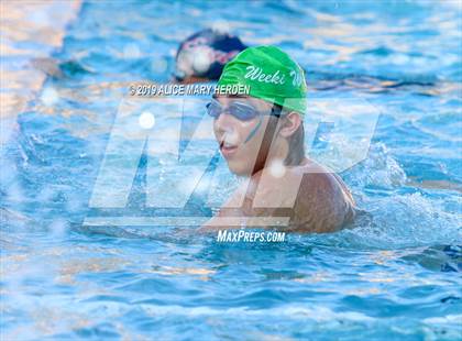 Thumbnail 3 in Weeki Wachee vs Springstead, Central  photogallery.
