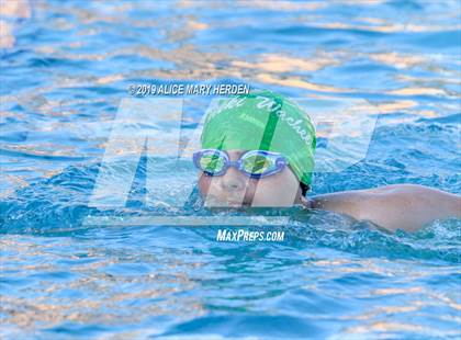 Thumbnail 3 in Weeki Wachee vs Springstead, Central  photogallery.