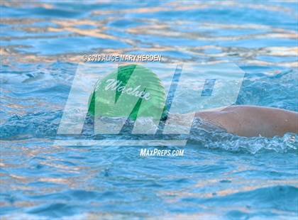 Thumbnail 1 in Weeki Wachee vs Springstead, Central  photogallery.