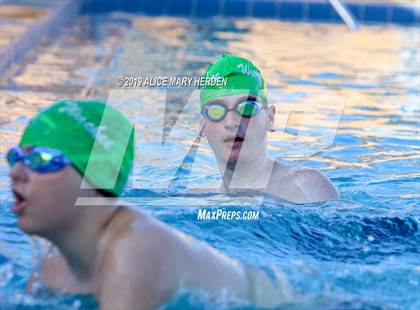 Thumbnail 1 in Weeki Wachee vs Springstead, Central  photogallery.