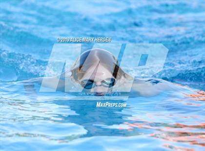 Thumbnail 2 in Weeki Wachee vs Springstead, Central  photogallery.