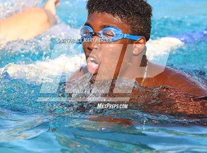 Thumbnail 3 in Weeki Wachee vs Springstead, Central  photogallery.