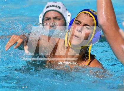 Thumbnail 2 in Bonita @ Charter Oak photogallery.