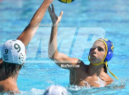 Thumbnail 2 in Bonita @ Charter Oak photogallery.