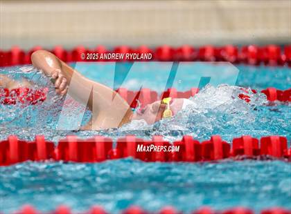 Thumbnail 3 in Discovery Canyon @ Air Academy photogallery.