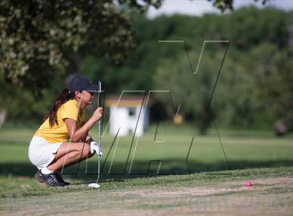 Thumbnail 1 in Brownsville Invitational photogallery.