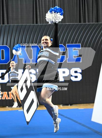 Thumbnail 2 in Cactus - Cheer Game Day Championships (AIA Division III, IV) photogallery.
