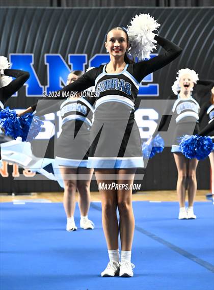 Thumbnail 2 in Cactus - Cheer Game Day Championships (AIA Division III, IV) photogallery.