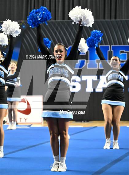 Thumbnail 2 in Cactus - Cheer Game Day Championships (AIA Division III, IV) photogallery.