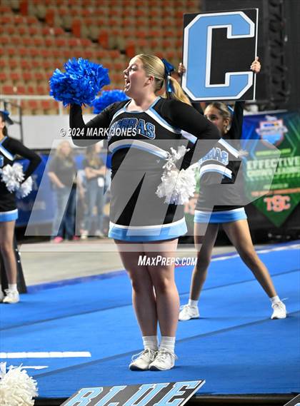 Thumbnail 1 in Cactus - Cheer Game Day Championships (AIA Division III, IV) photogallery.
