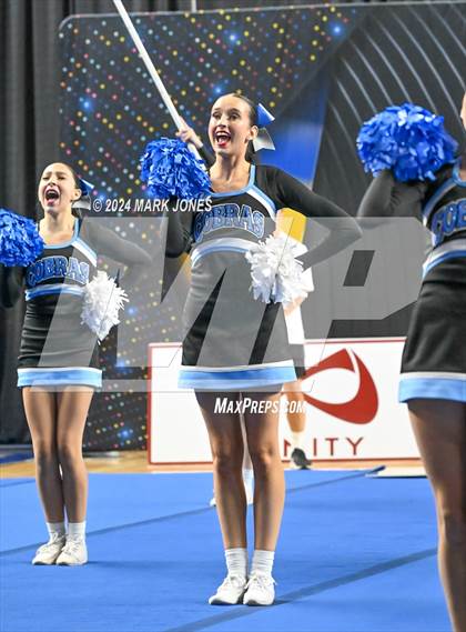 Thumbnail 3 in Cactus - Cheer Game Day Championships (AIA Division III, IV) photogallery.