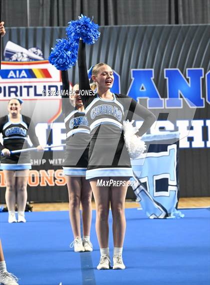 Thumbnail 1 in Cactus - Cheer Game Day Championships (AIA Division III, IV) photogallery.