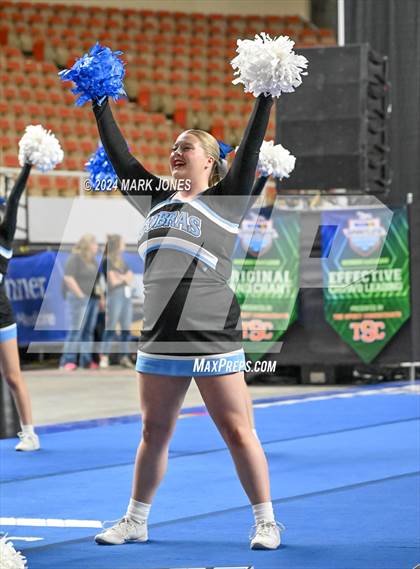 Thumbnail 2 in Cactus - Cheer Game Day Championships (AIA Division III, IV) photogallery.