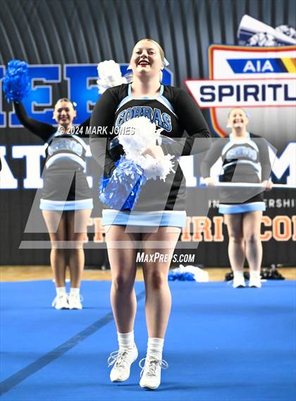 Thumbnail 1 in Cactus - Cheer Game Day Championships (AIA Division III, IV) photogallery.