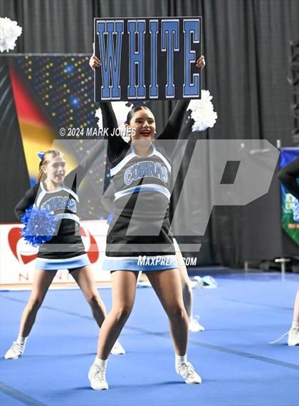 Thumbnail 3 in Cactus - Cheer Game Day Championships (AIA Division III, IV) photogallery.