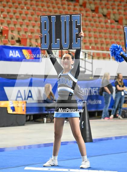 Thumbnail 3 in Cactus - Cheer Game Day Championships (AIA Division III, IV) photogallery.