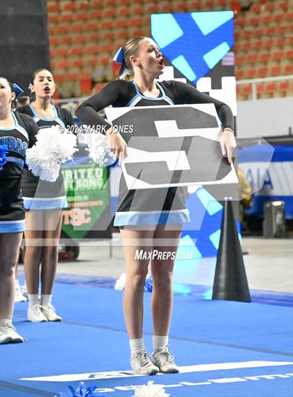 Thumbnail 1 in Cactus - Cheer Game Day Championships (AIA Division III, IV) photogallery.