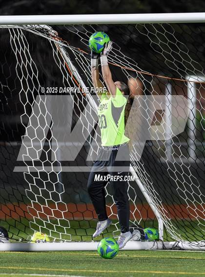 Thumbnail 2 in Edgewood @ Melbourne photogallery.