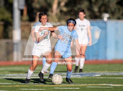 Thumbnail 1 in Hamilton @ El Camino Real (CIF LACS D1 Quarterfinal) photogallery.