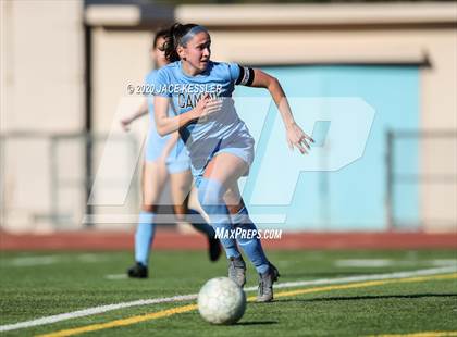 Thumbnail 3 in Hamilton @ El Camino Real (CIF LACS D1 Quarterfinal) photogallery.