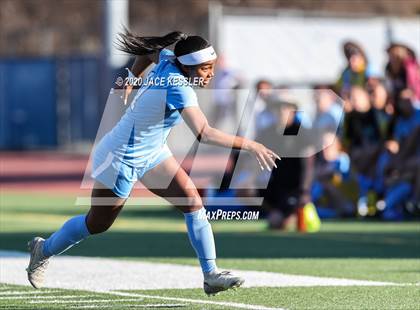 Thumbnail 3 in Hamilton @ El Camino Real (CIF LACS D1 Quarterfinal) photogallery.