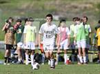 Photo from the gallery "Apex @ Chapel Hill"