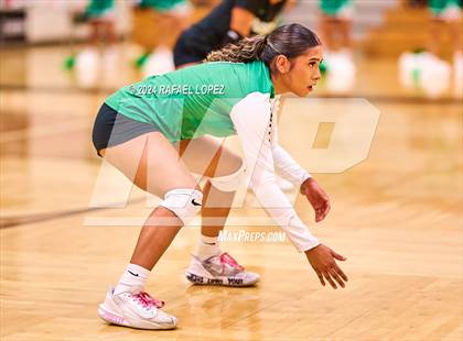 Thumbnail 2 in A&M Consolidated @ Pasadena (UIL Volleyball 5A D1 Region 3 Bi-District) photogallery.