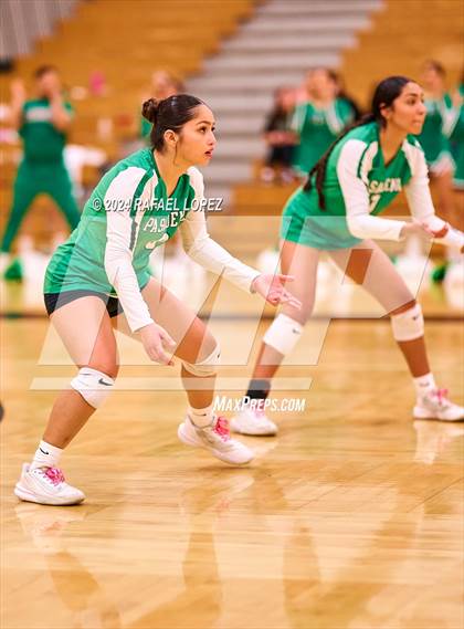 Thumbnail 2 in A&M Consolidated @ Pasadena (UIL Volleyball 5A D1 Region 3 Bi-District) photogallery.