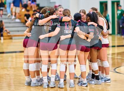 Thumbnail 3 in A&M Consolidated @ Pasadena (UIL Volleyball 5A D1 Region 3 Bi-District) photogallery.