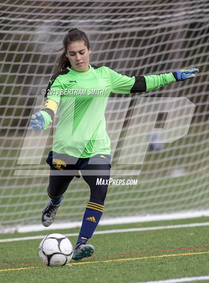Thumbnail 2 in Spencerport vs. Grand Island (NYSPHSAA Class A Regional Playoff) photogallery.