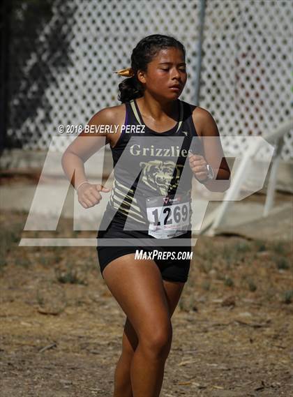 Thumbnail 1 in Masters University Cross Country Invitational  photogallery.