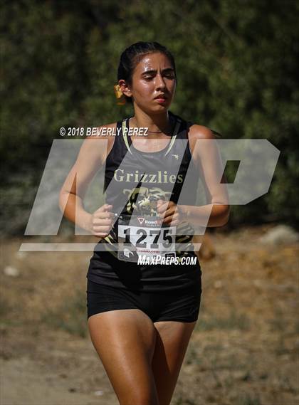 Thumbnail 1 in Masters University Cross Country Invitational  photogallery.