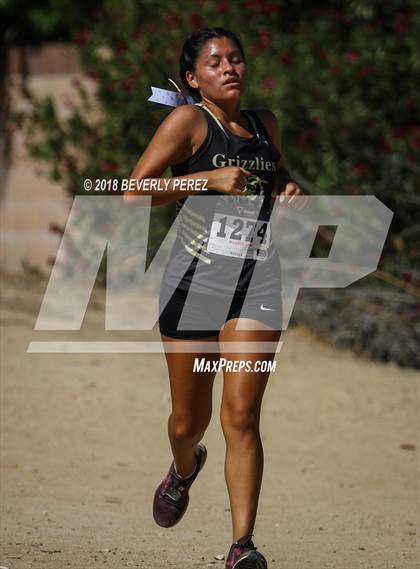 Thumbnail 2 in Masters University Cross Country Invitational  photogallery.