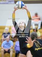 Photo from the gallery "Sterling Heights @ Adams"