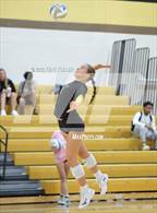 Photo from the gallery "Sterling Heights @ Adams"