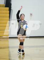 Photo from the gallery "Sterling Heights @ Adams"