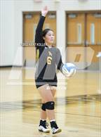 Photo from the gallery "Sterling Heights @ Adams"