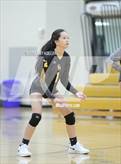 Photo from the gallery "Sterling Heights @ Adams"