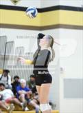Photo from the gallery "Sterling Heights @ Adams"