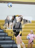 Photo from the gallery "Sterling Heights @ Adams"
